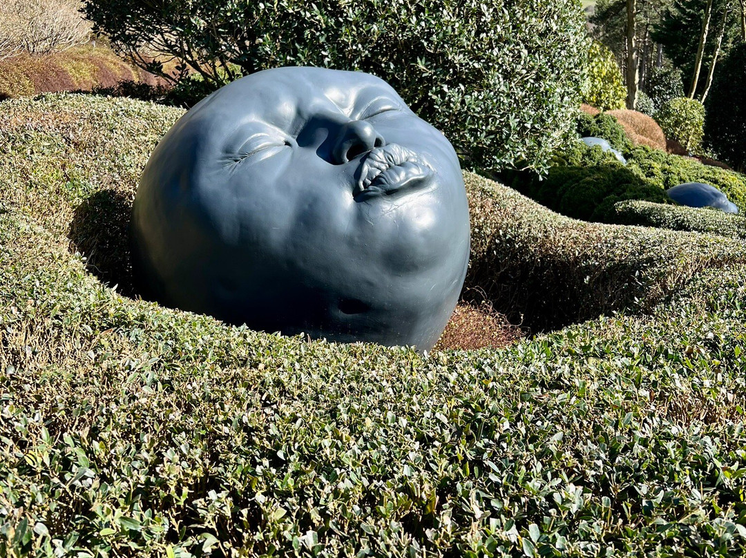 Jardins d'Etretat景点图片