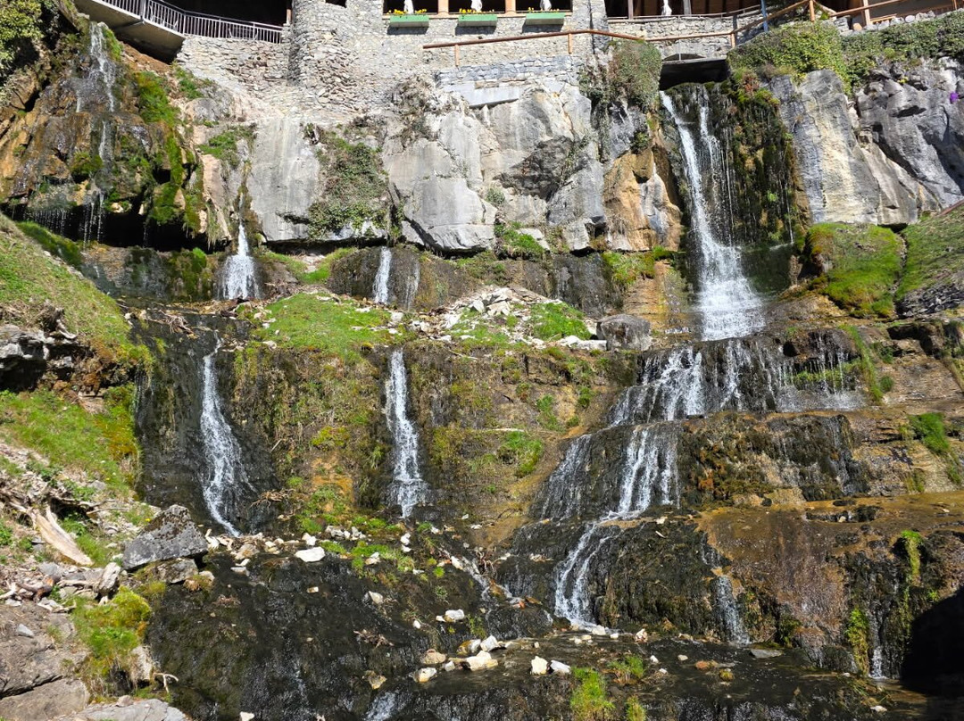 Typically Swiss Tours-卢塞恩必去景点