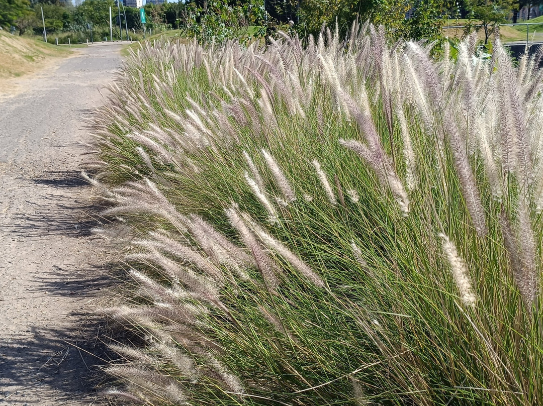 Reserva Ecológica Vicente Lopez-Vicente Lopez必去景点