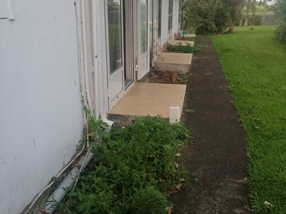 Auberge Du Desert主图