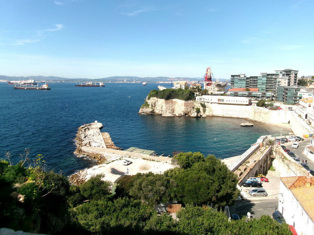 The Gibraltar Natural History Museum-Gibraltar Town必去景点