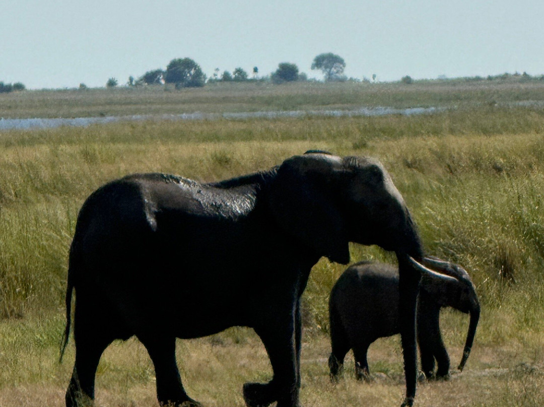 Kalahari Tours-卡萨尼必去景点
