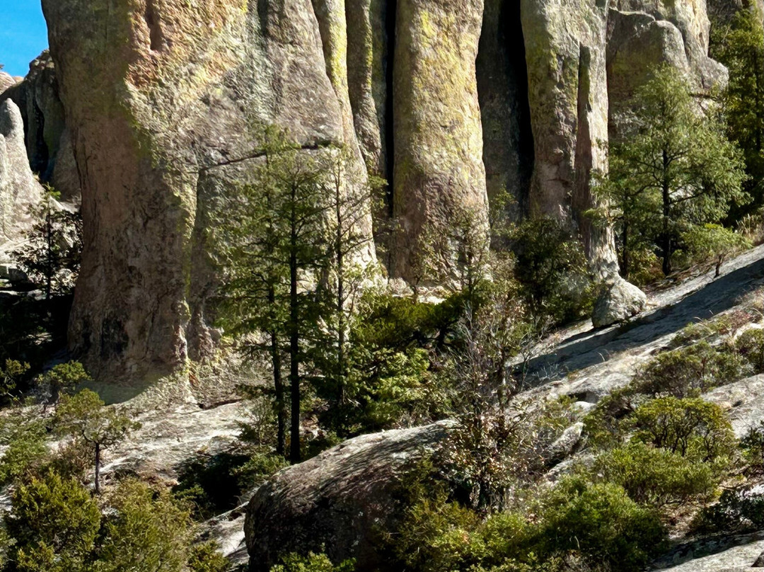 Experience Mex-ECO Tours-Melaque必去景点