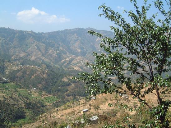 杜利克尔山渡假酒店主图