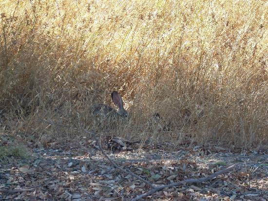布鲁甘姆汽车旅馆主图