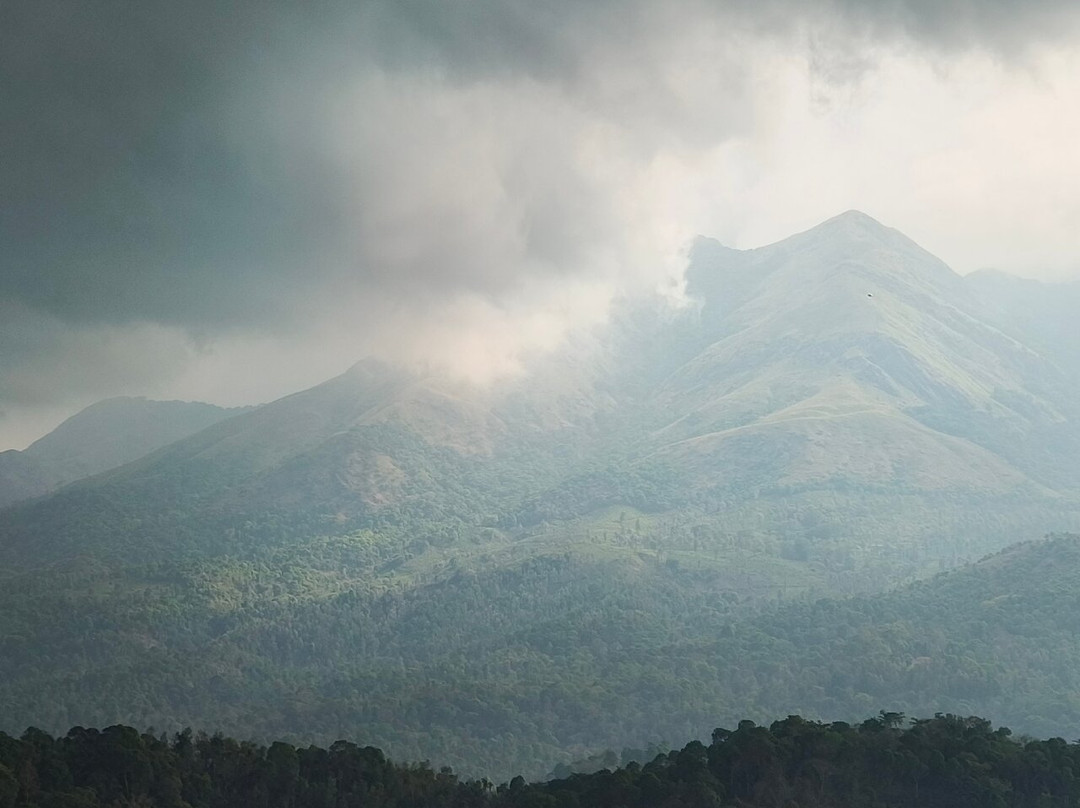 伍德罗斯度假村主图
