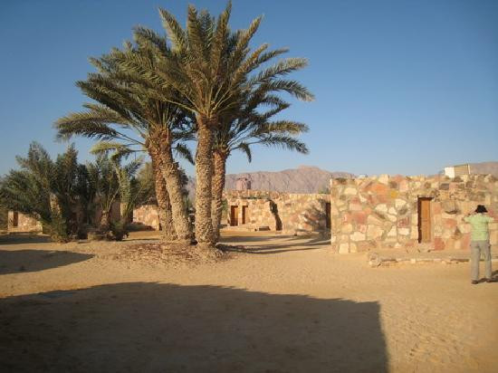 Sultana Village主图