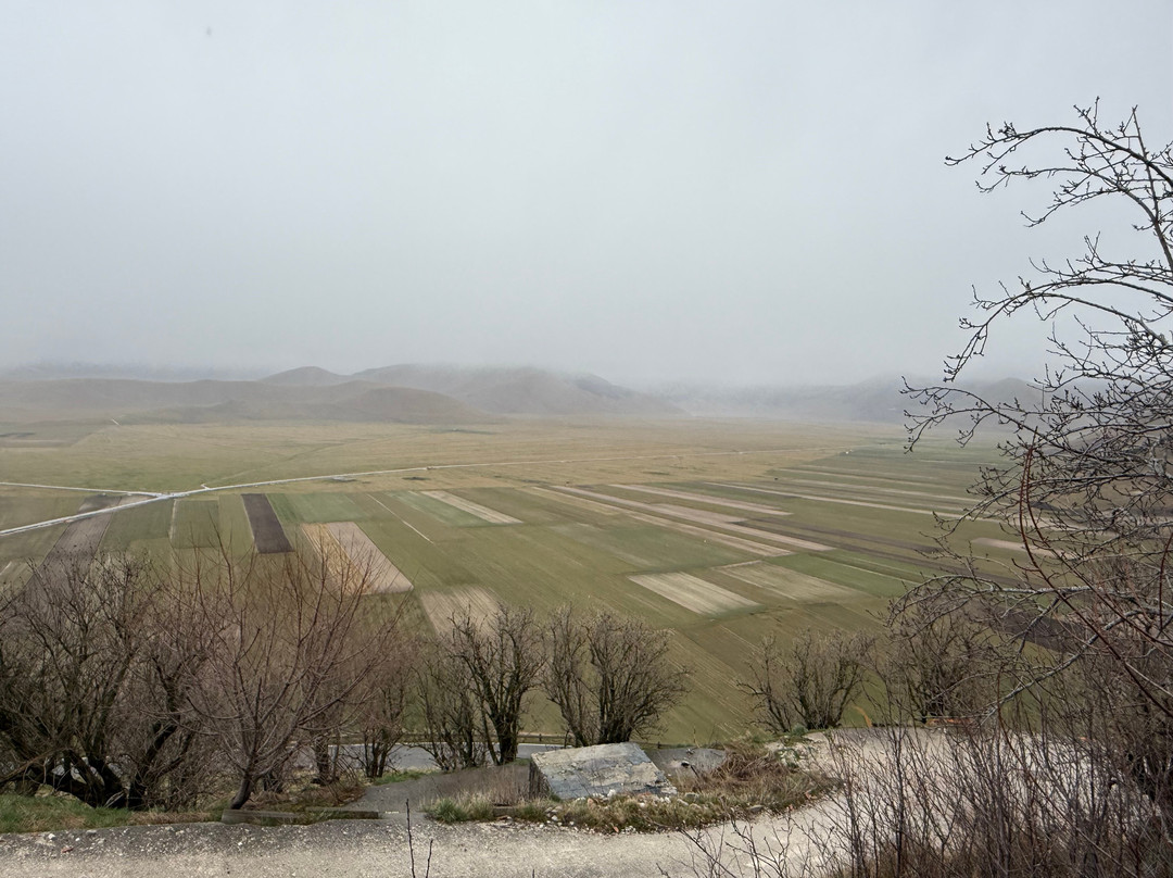 Agriturismo la Fattoria主图