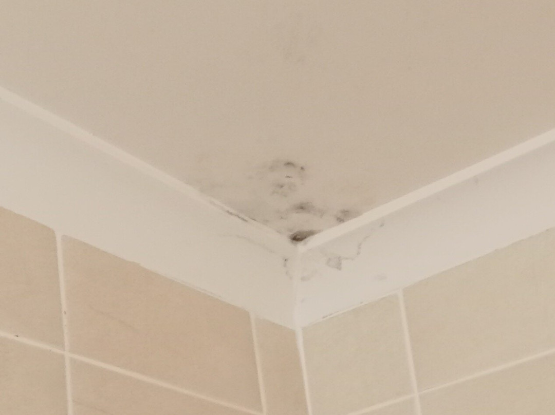 奎伊斯市雷吉斯公园酒店主图