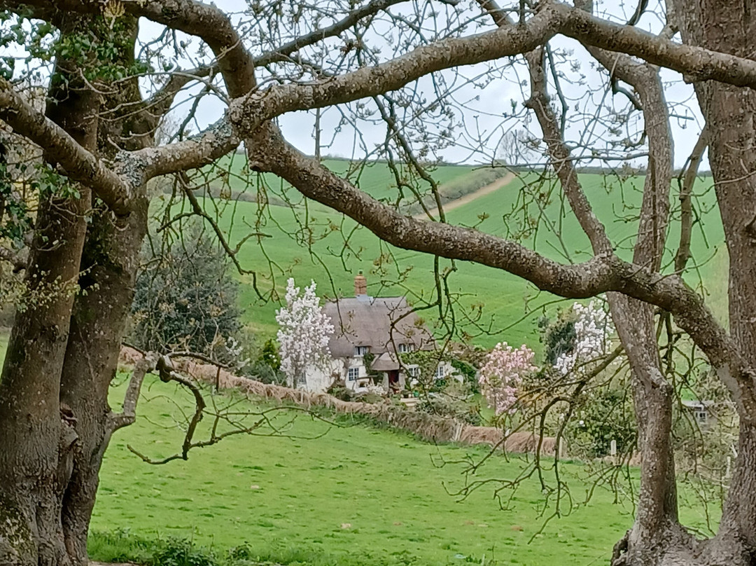Symondsbury Estate-Symondsbury必去景点