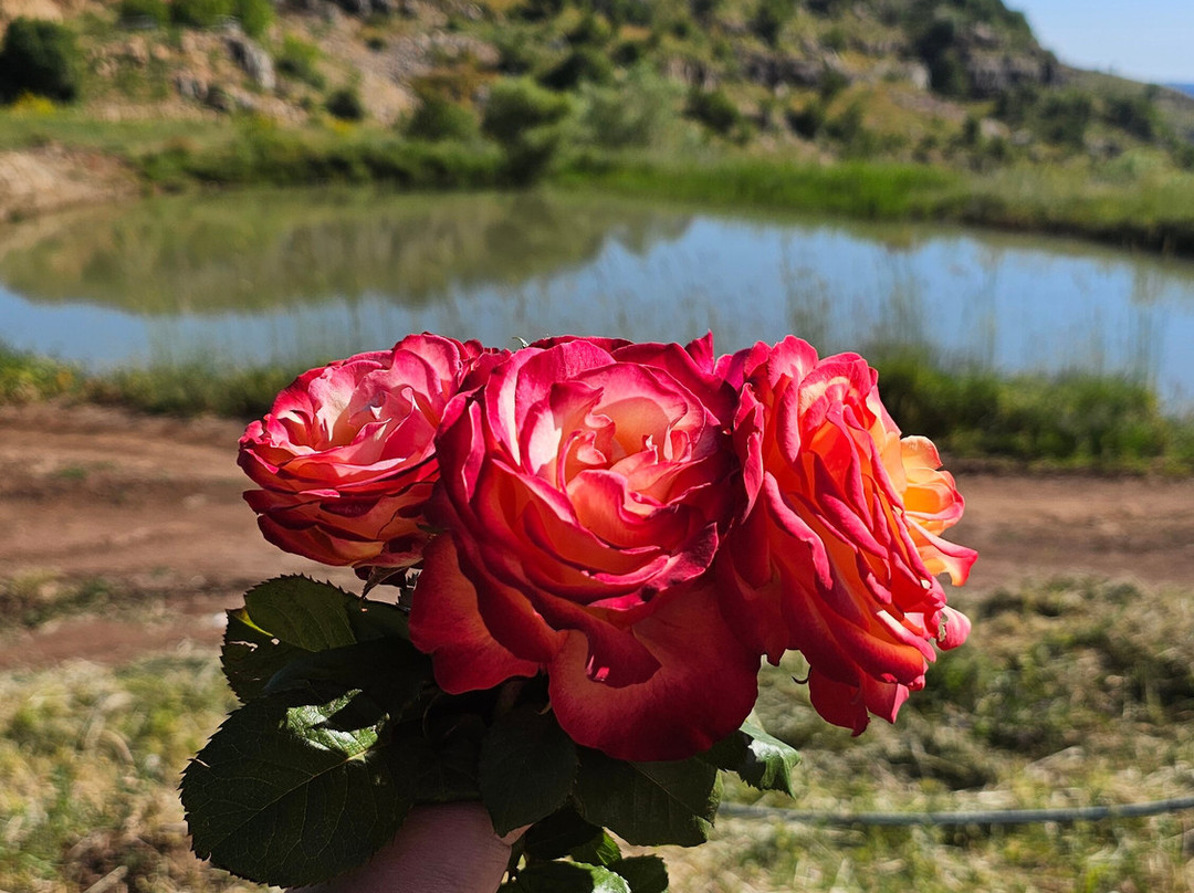 The 3 Farmers Campsite-Mtein必去景点