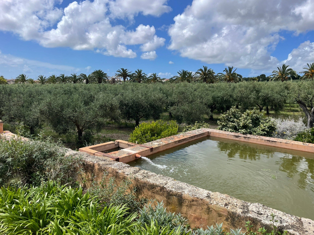 Monterosa Olive Oil Farm-Moncarapacho必去景点