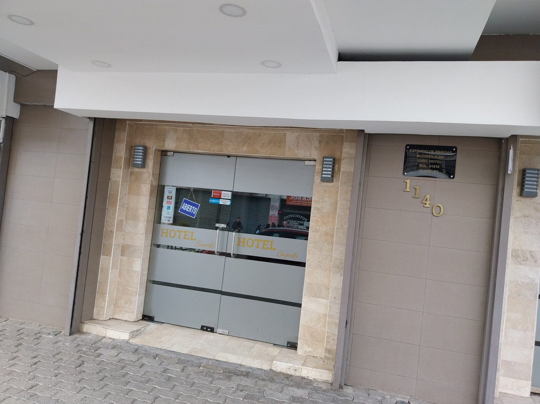 Hotel Capelli Express主图