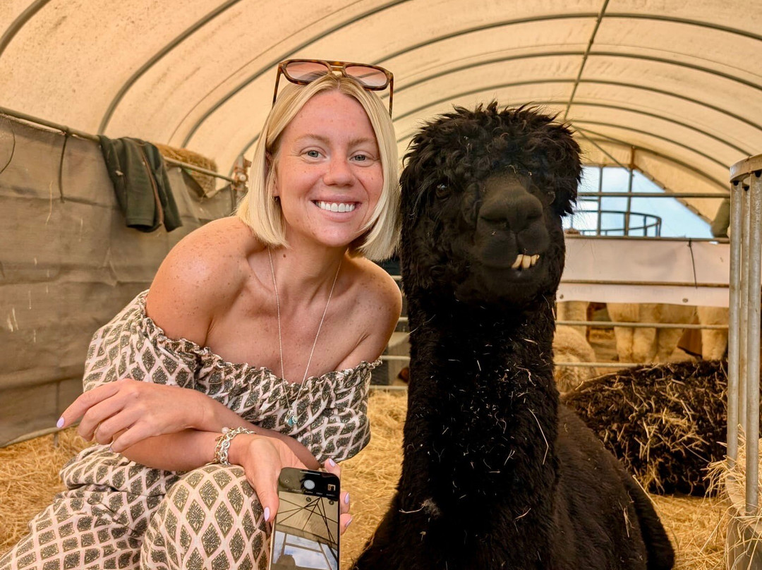 Stubbs Farm Alpacas景点图片