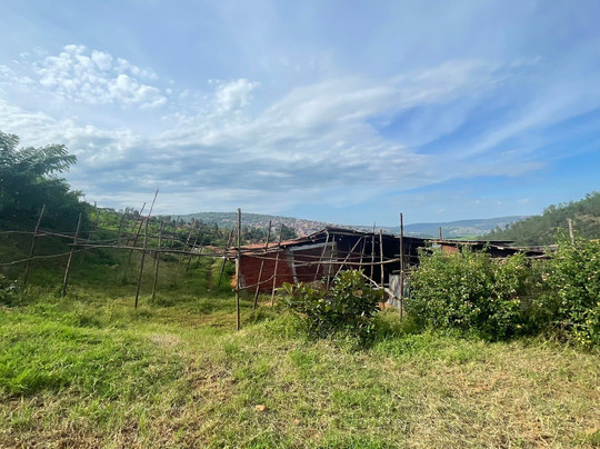 NuttinTODO-吉佳利必去景点