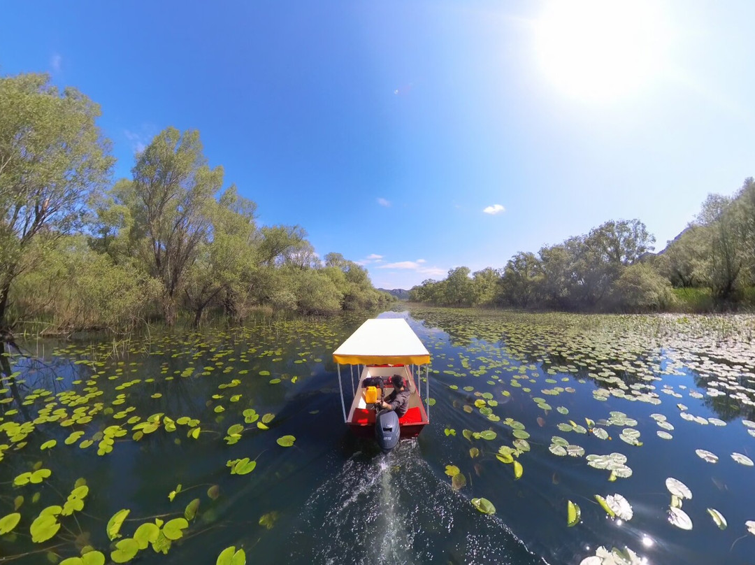 Skadar Lake - Boat Cruise Milena景点图片