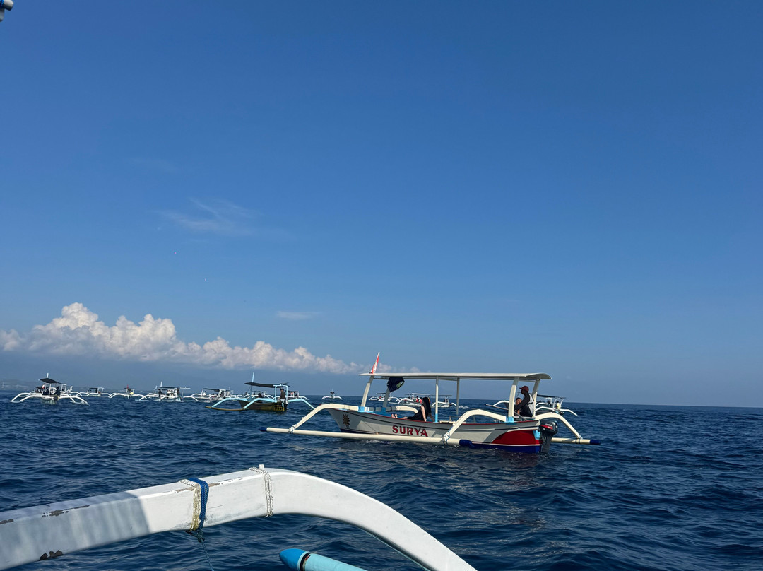 Tiket boat dolphin lovina-罗威那海滩必去景点