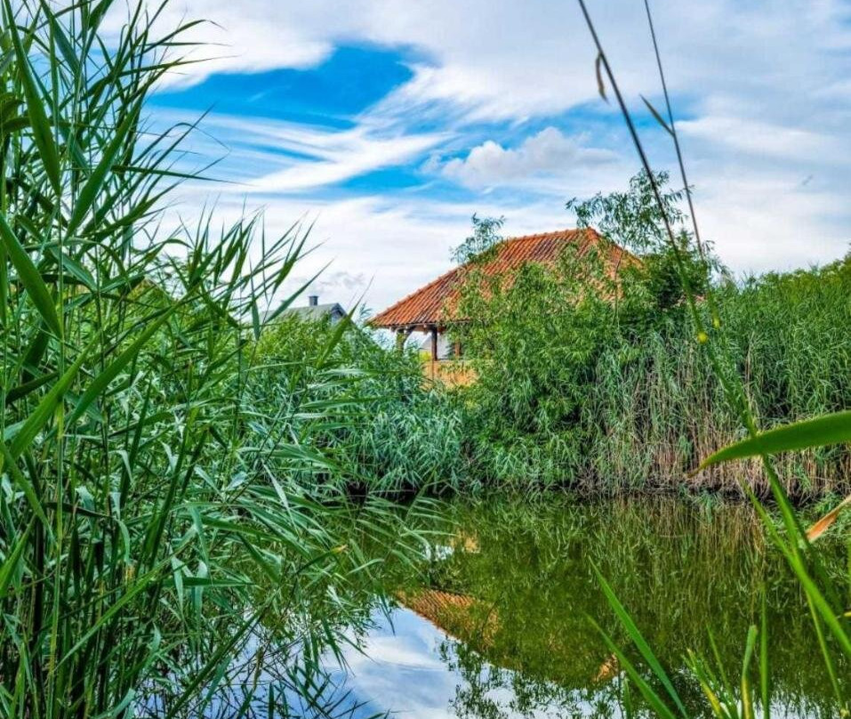 Agroturystyka Pod Podkową