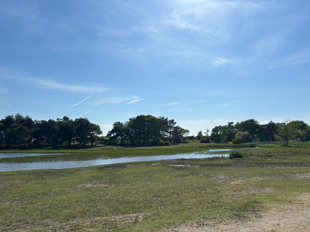 Hatchet Pond-Beaulieu必去景点
