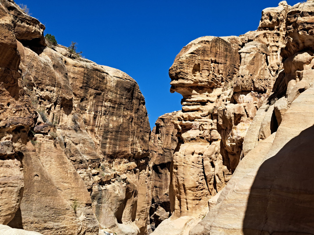 Bedouin Journeys Adventure-Dana必去景点