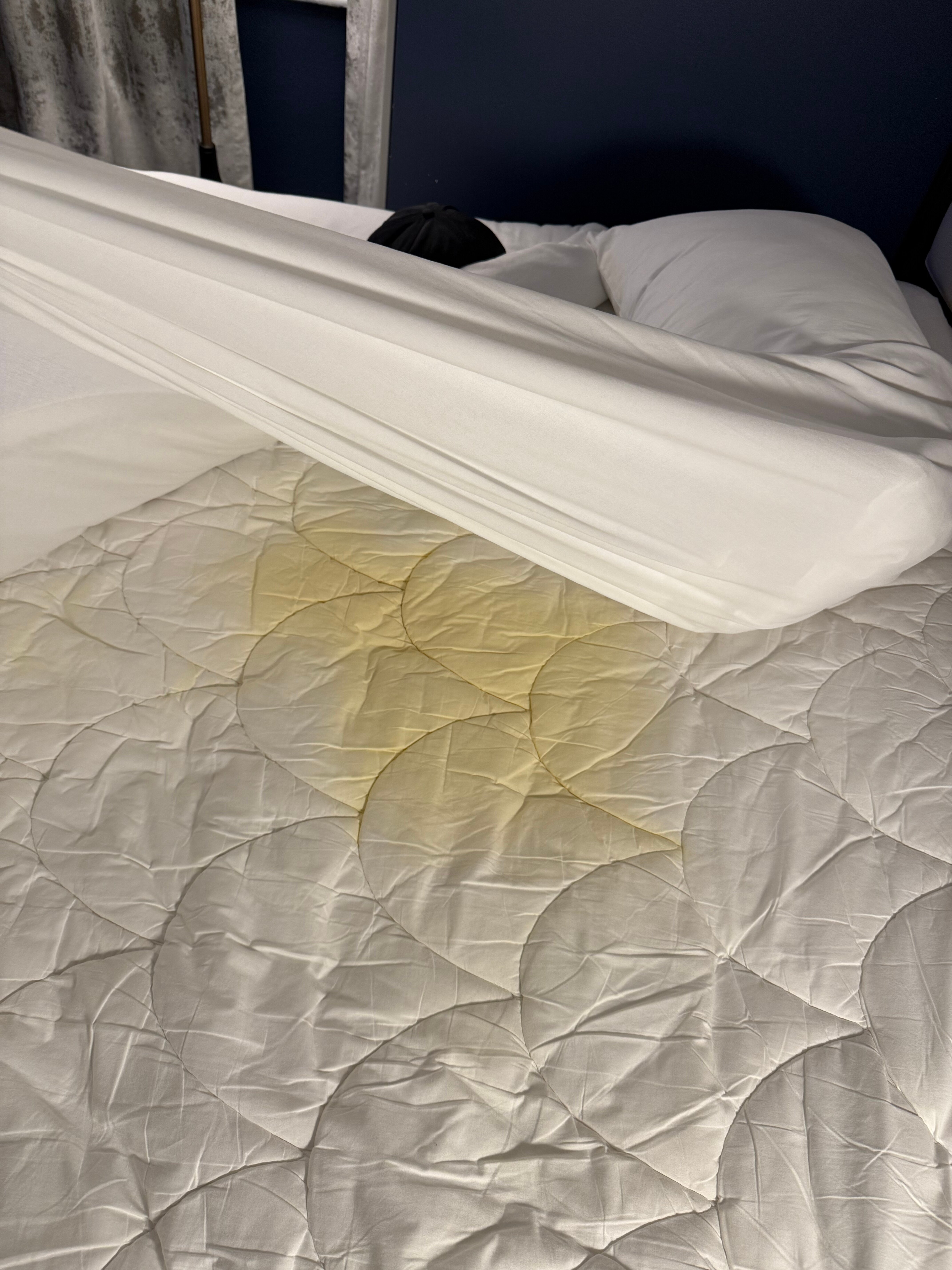 Peoria Marriott Pere Marquette-客卧