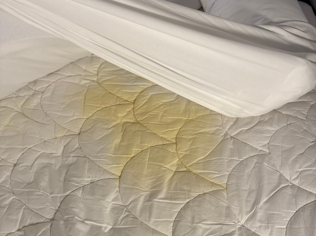 Peoria Marriott Pere Marquette主图