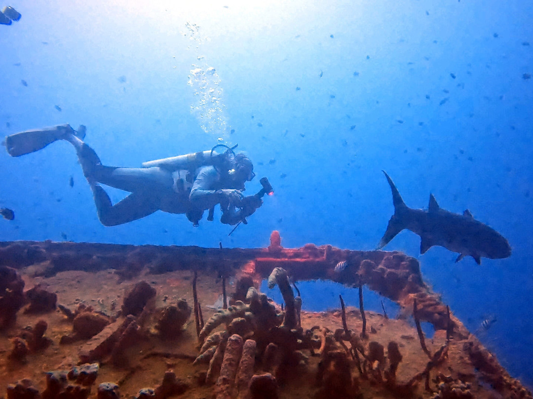 Scubafun-Bayahibe必去景点