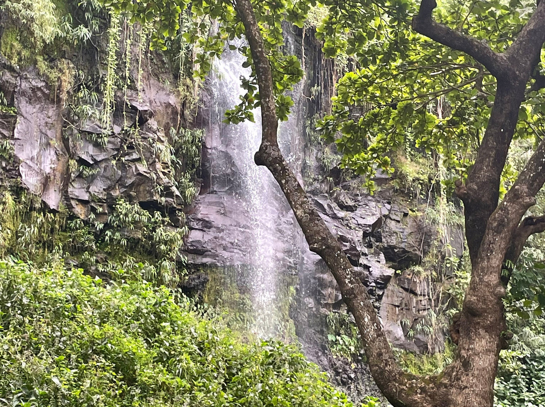 Anse Des Cascades景点图片