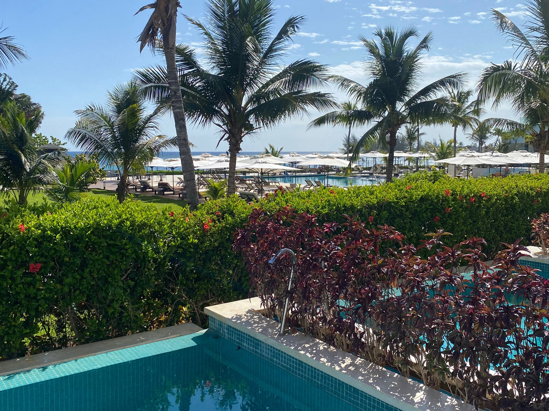 Excellence Oyster Bay主图