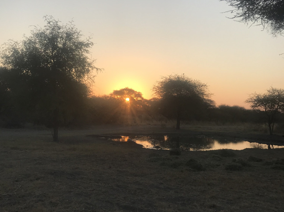 Marvel Africa Hunting Safaris-Lephalale必去景点