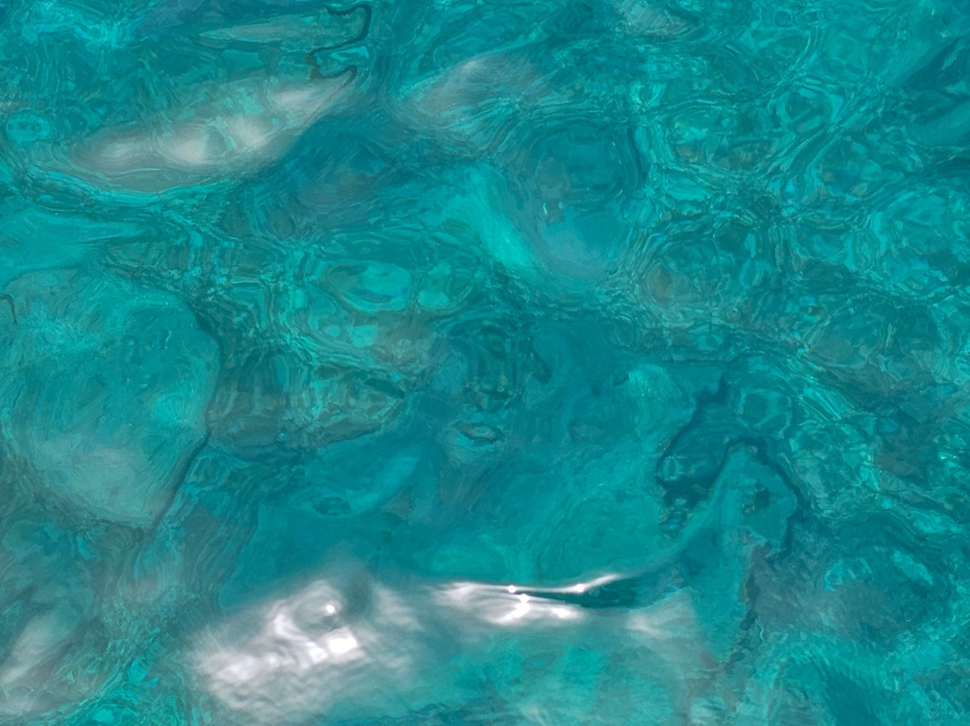 BOSS - Breathing Observation Submersible Scooter-圣 托马斯必去景点