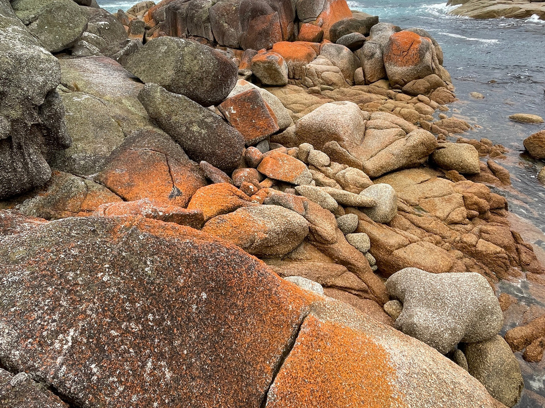 Jeanneret Beach景点图片