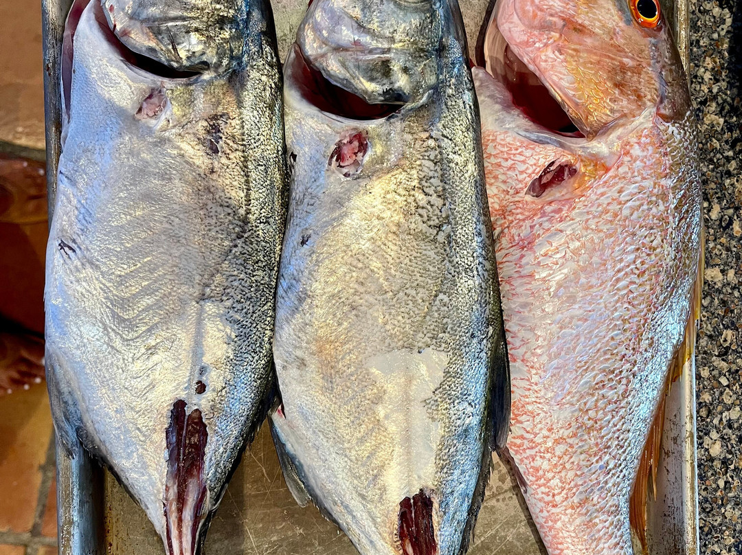 Local Flavor Charters-克鲁兹湾必去景点