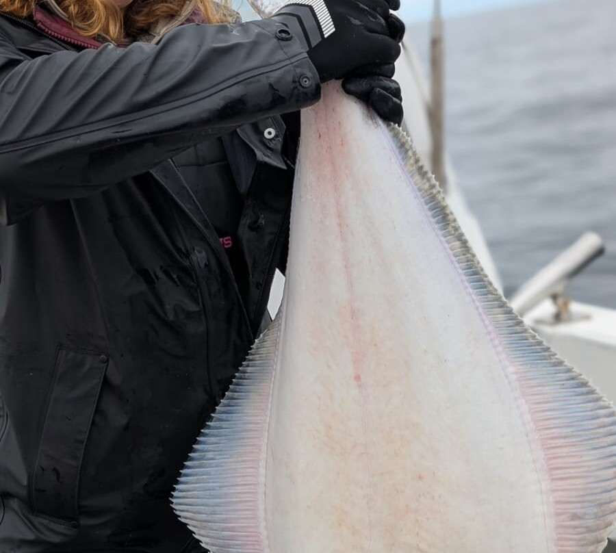 Ninilchik Charters - Day Tours-荷马必去景点