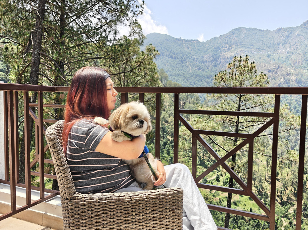 Himalayan Splendour Resort主图