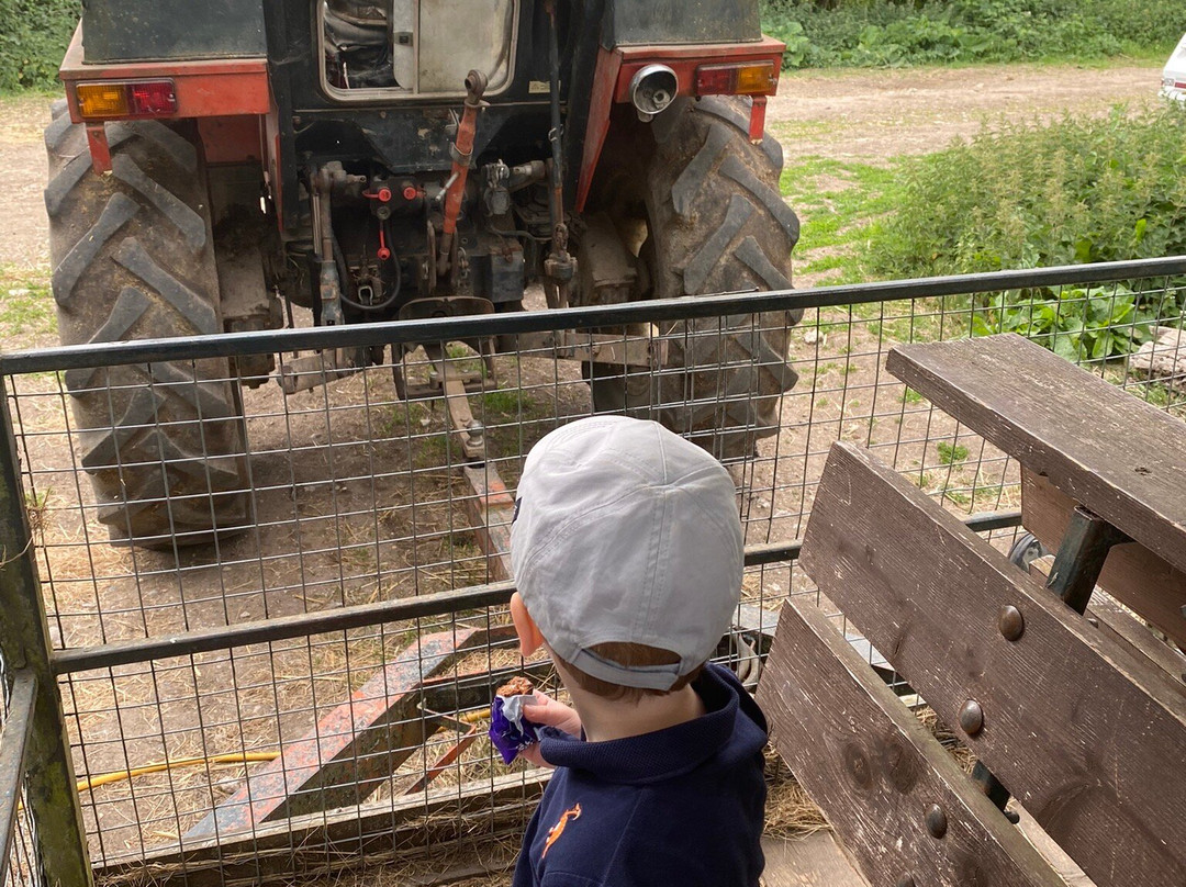 St Augustines Farm-Arlingham必去景点