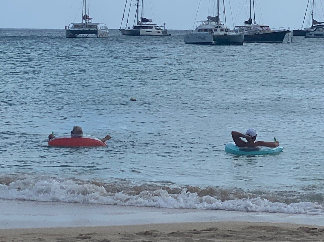 Kim Sha Beach-辛普森湾必去景点