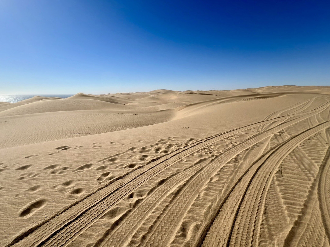 Dune 7-华维斯湾必去景点