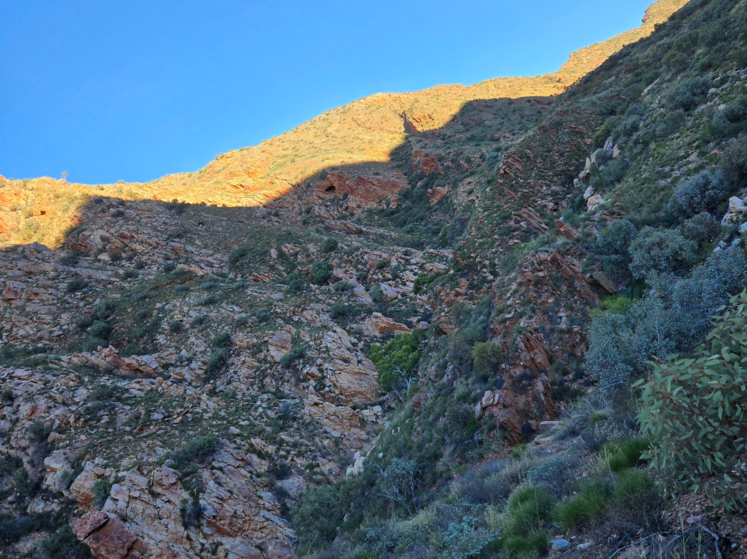 Larapinta Trail Trek Support-爱丽斯泉必去景点
