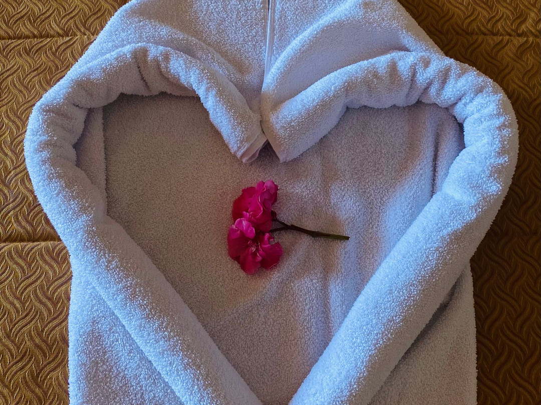 伊波罗之星萨费拉棕榈酒店主图