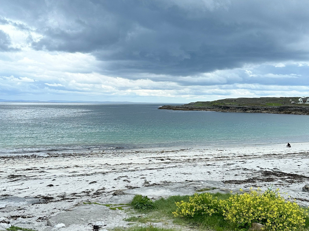 Failte Bus Tour-Inishmore必去景点