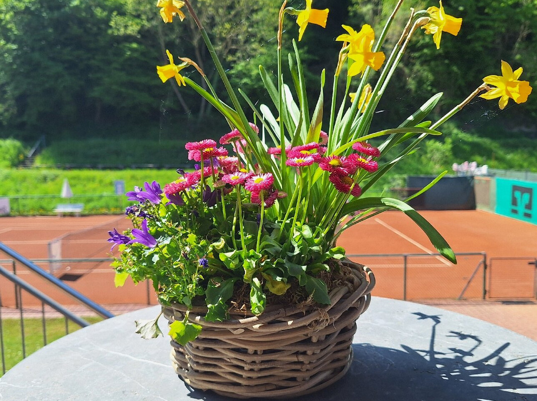 Nicole's Matchball Restaurant