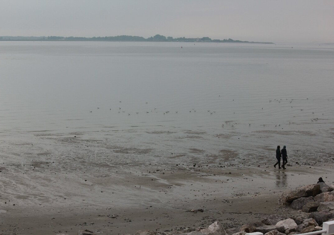 Plage Le Crotoy景点图片