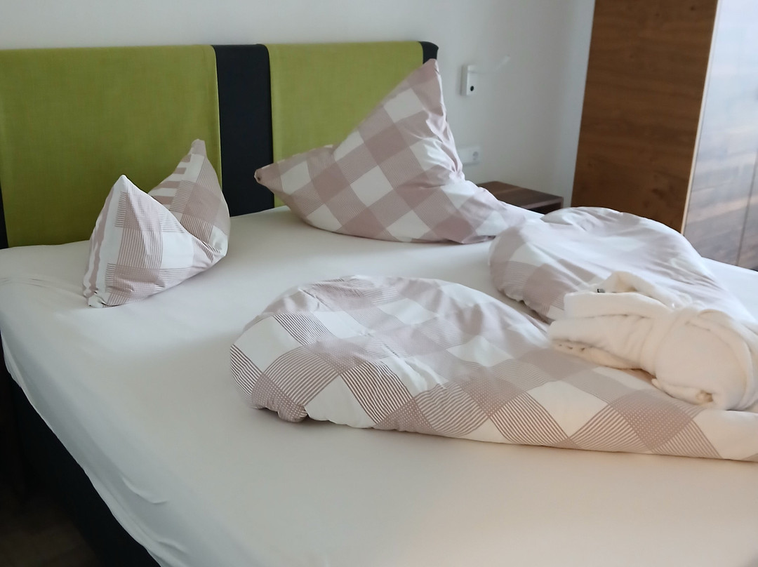 Wohlfuhlhotel Frohsinn主图