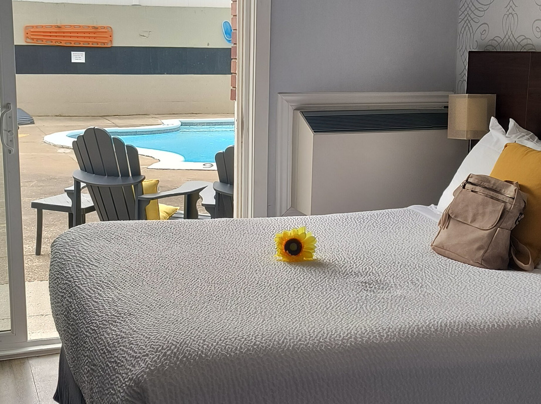 罗德蒙克顿酒店主图