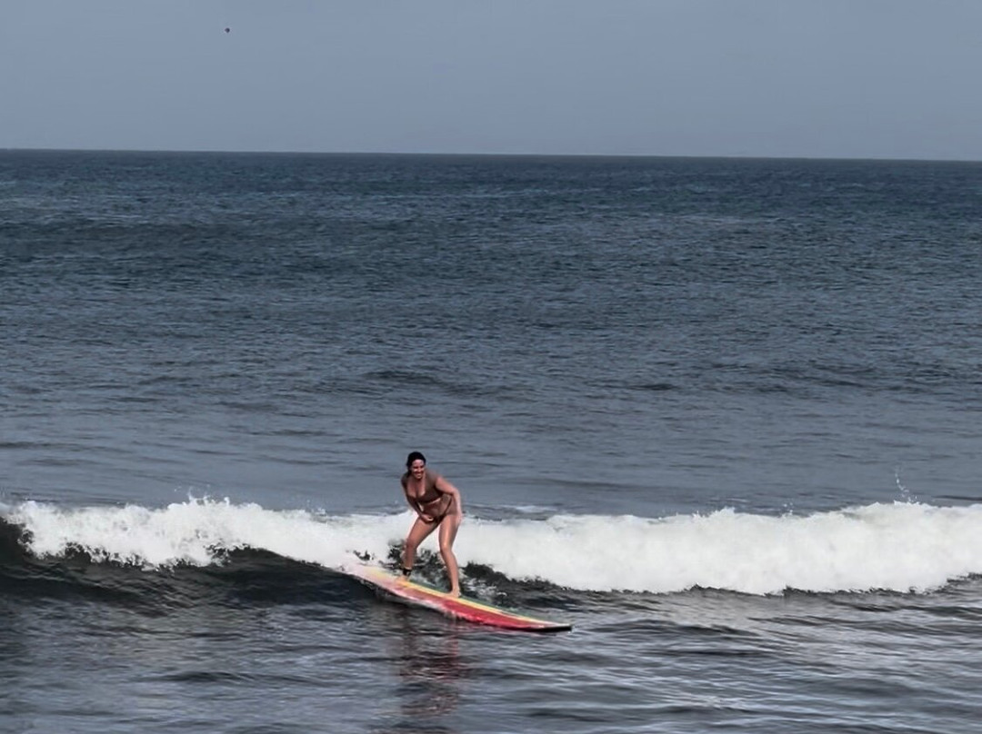Freights bay surf school-Enterprise必去景点