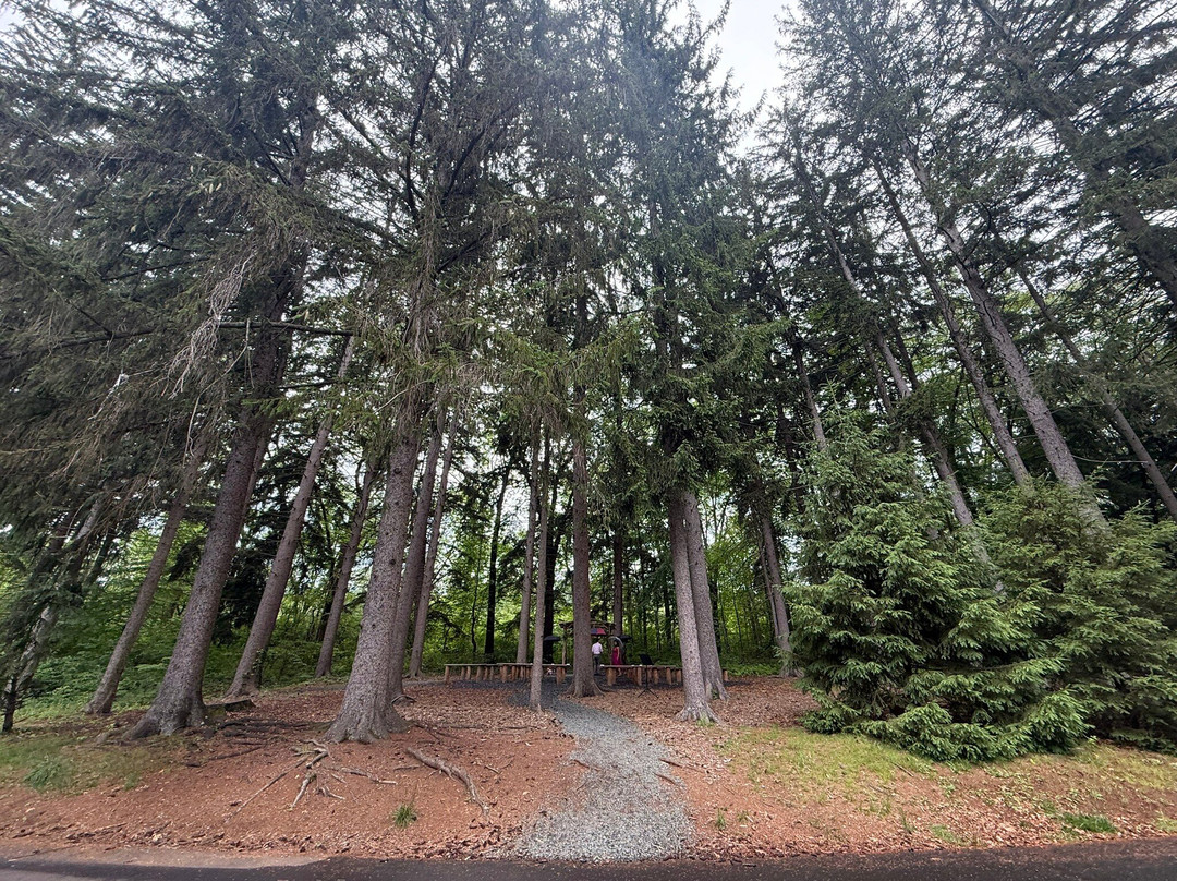 Feltville Historic District-Berkeley Heights必去景点