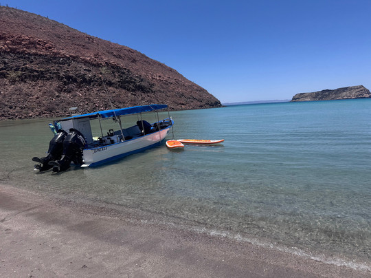 On Board Baja-拉巴斯必去景点