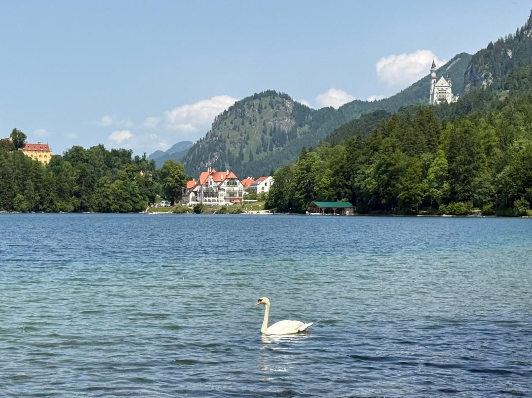 祖姆斯彻鲁恩古斯霍夫酒店主图