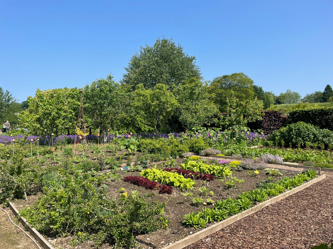 Helmsley Walled Garden景点图片
